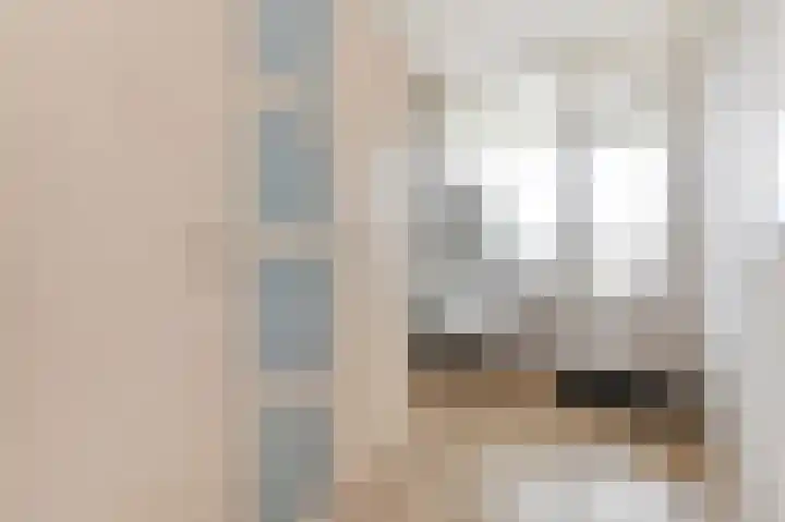 Schaepmanlaan 37 Pijnacker thumbnail 17