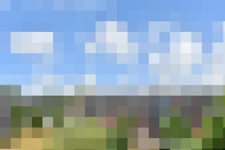Schaepmanlaan 37 Pijnacker thumbnail 21