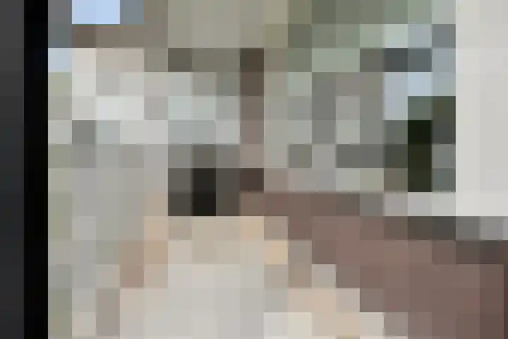 Schaepmanlaan 37 Pijnacker thumbnail 24
