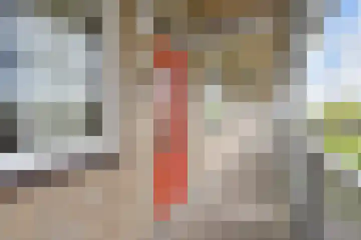 Schaepmanlaan 37 Pijnacker thumbnail 26