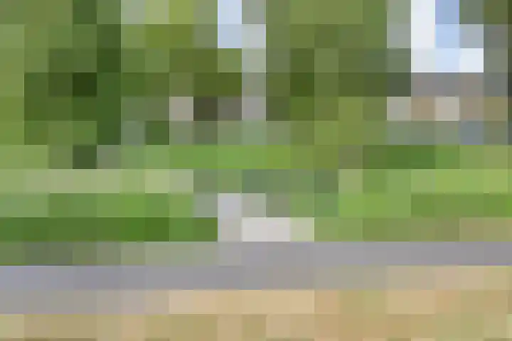 Schaepmanlaan 37 Pijnacker thumbnail 30