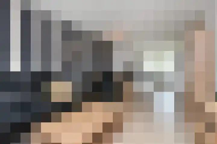 Schaepmanlaan 37 Pijnacker thumbnail 4