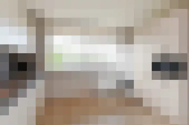 Schaepmanlaan 37 Pijnacker thumbnail 7