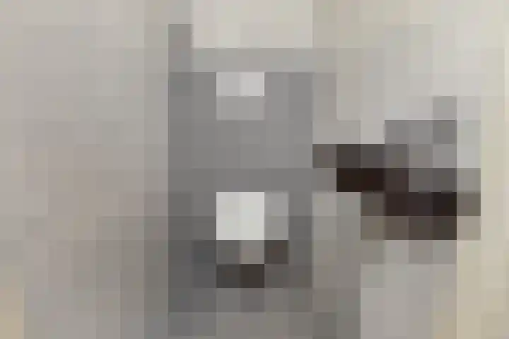 Schaepmanlaan 37 Pijnacker thumbnail 9