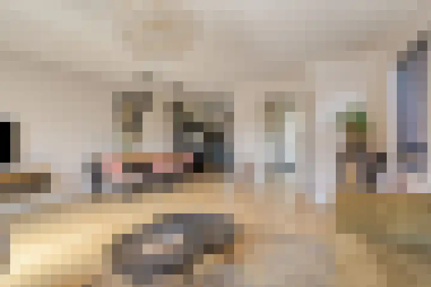 Schaepmanlaan 4 Kampen thumbnail 10