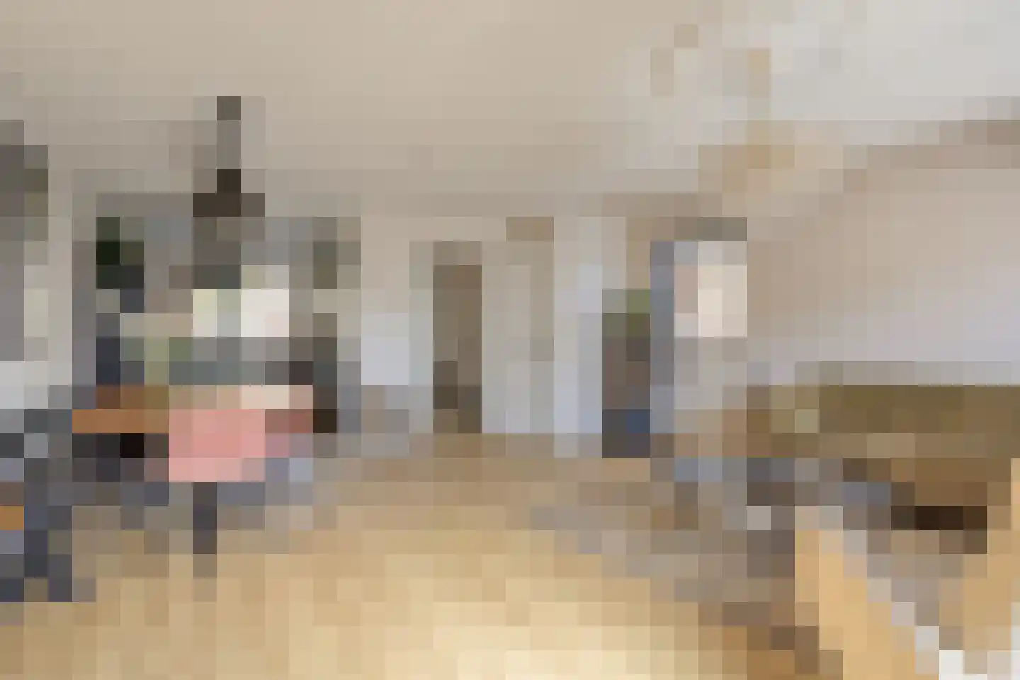 Schaepmanlaan 4 Kampen thumbnail 11