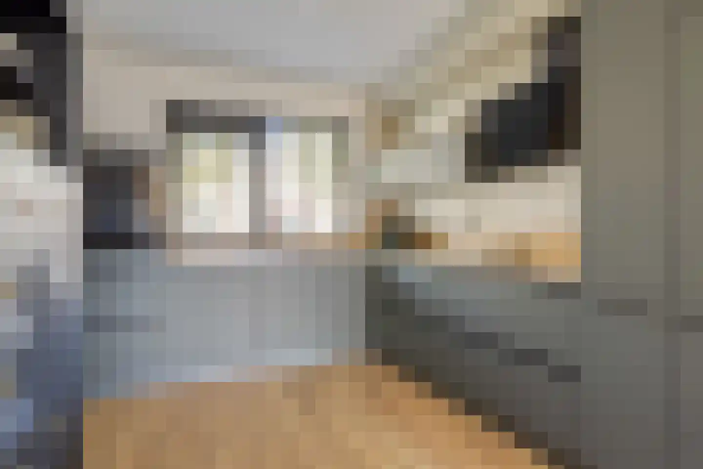 Schaepmanlaan 4 Kampen thumbnail 14