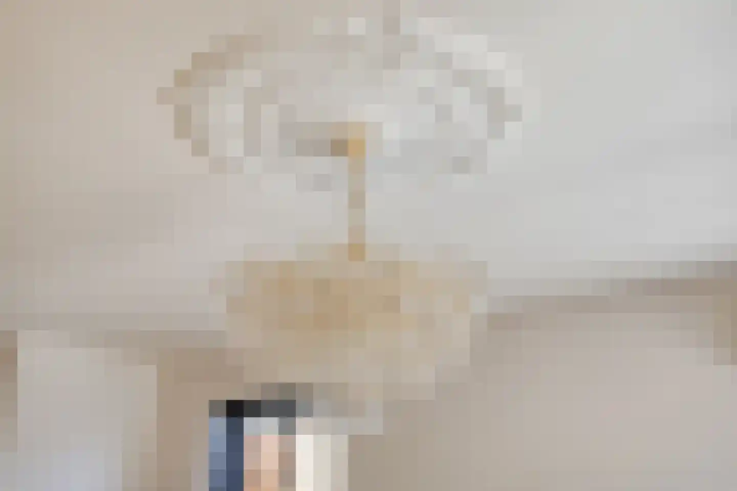 Schaepmanlaan 4 Kampen thumbnail 18