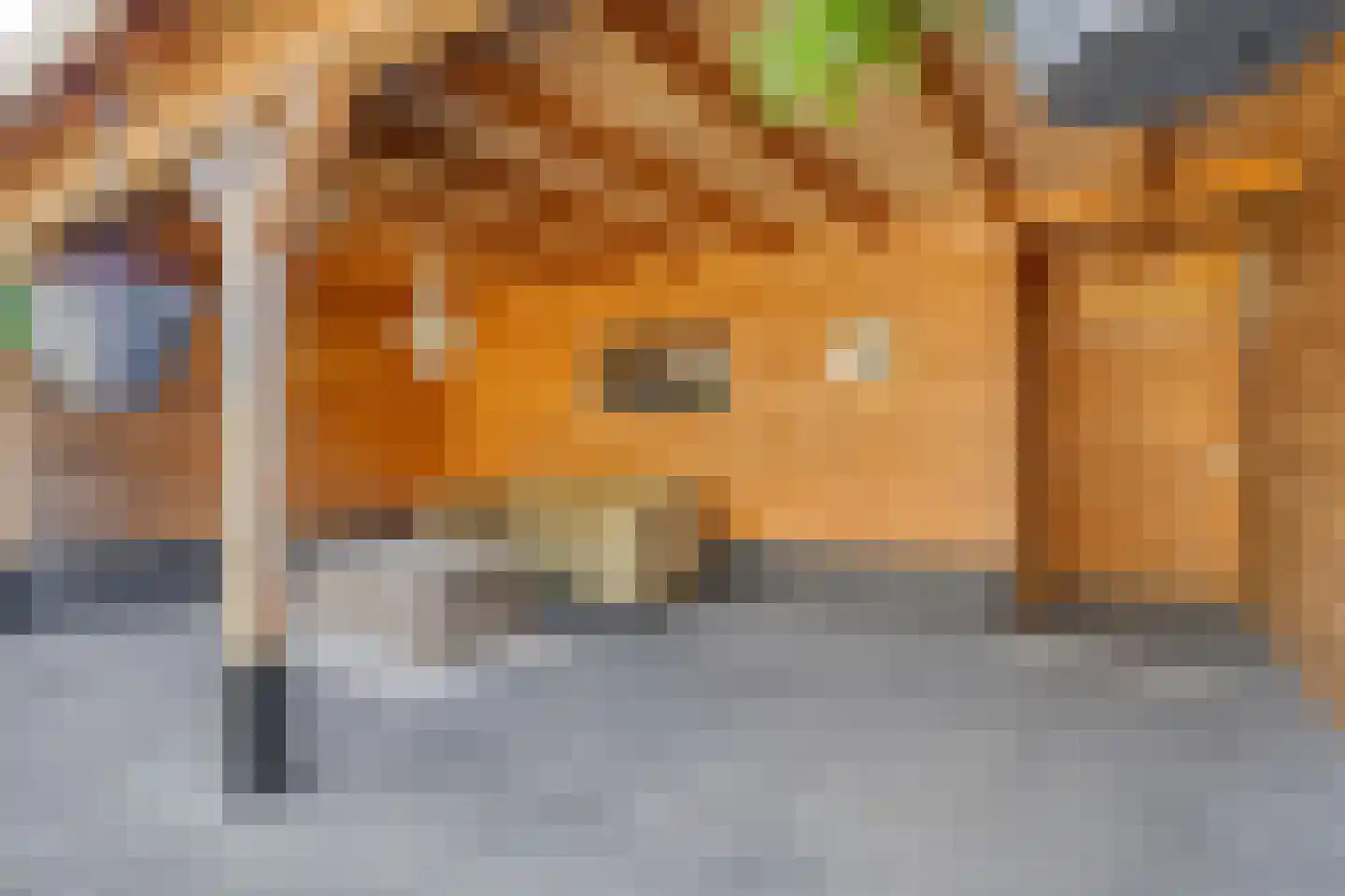 Schaepmanlaan 4 Kampen thumbnail 33