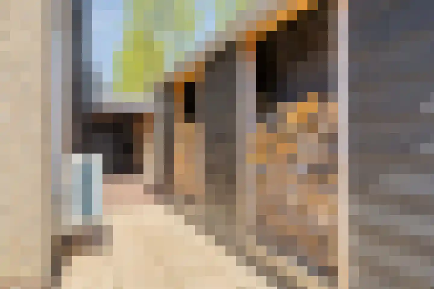 Schaepmanlaan 4 Kampen thumbnail 35