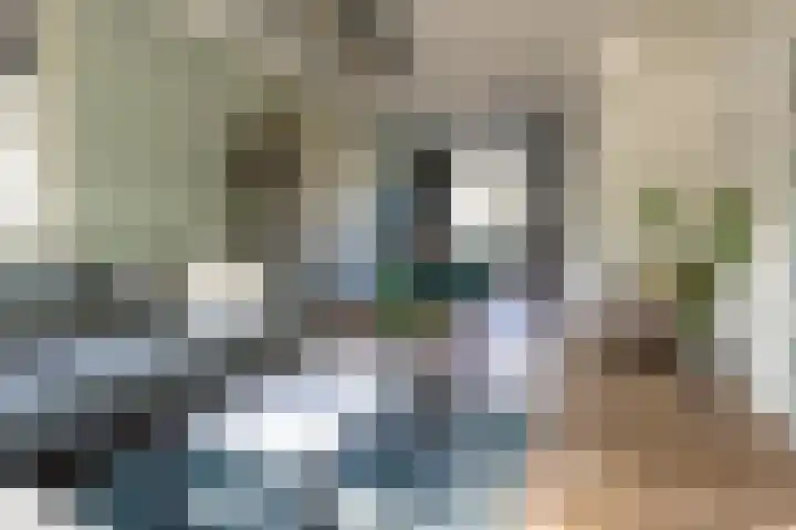 Schaepmanlaan 41 Nunspeet thumbnail 11