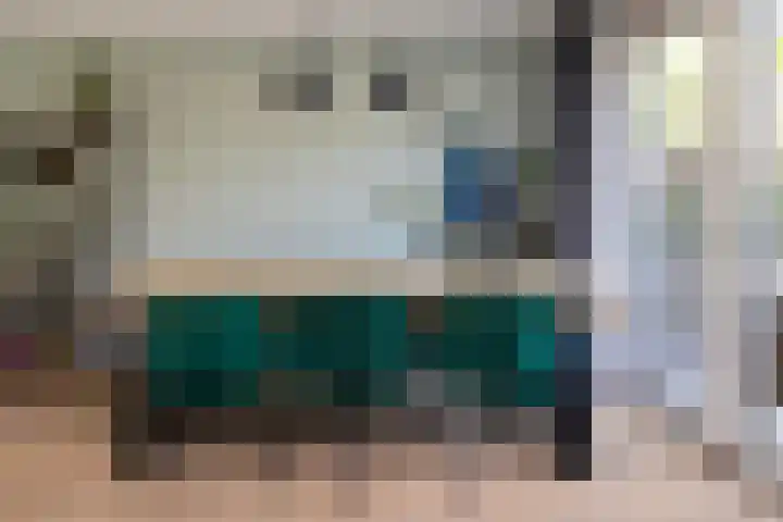 Schaepmanlaan 41 Nunspeet thumbnail 12