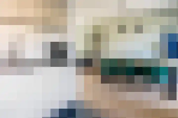 Schaepmanlaan 41 Nunspeet thumbnail 14
