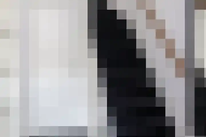 Schaepmanlaan 41 Nunspeet thumbnail 18