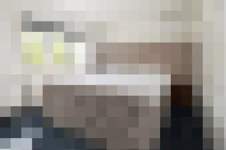 Schaepmanlaan 41 Nunspeet thumbnail 19