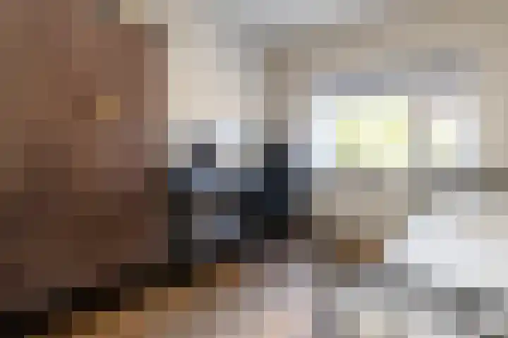 Schaepmanlaan 41 Nunspeet thumbnail 21