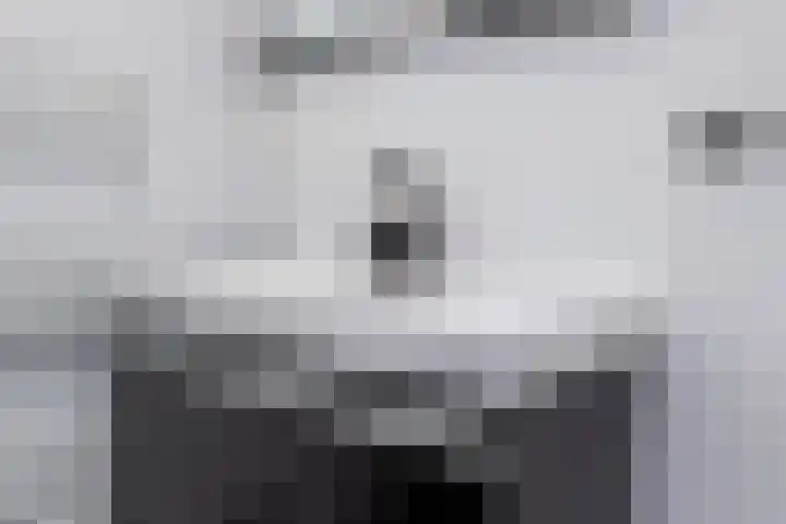 Schaepmanlaan 41 Nunspeet thumbnail 23