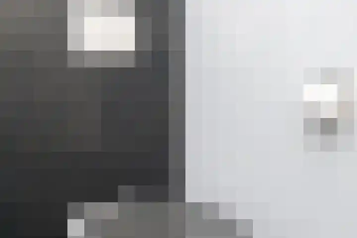 Schaepmanlaan 41 Nunspeet thumbnail 25