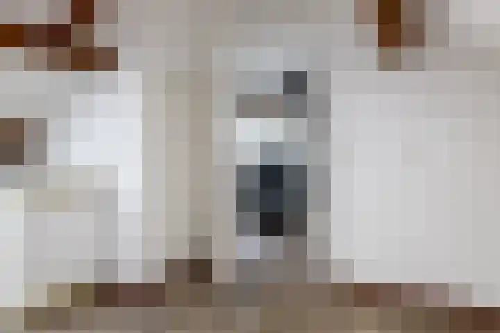 Schaepmanlaan 41 Nunspeet thumbnail 28