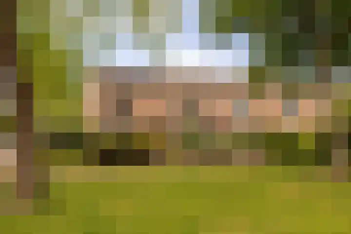 Schaepmanlaan 41 Nunspeet thumbnail 29