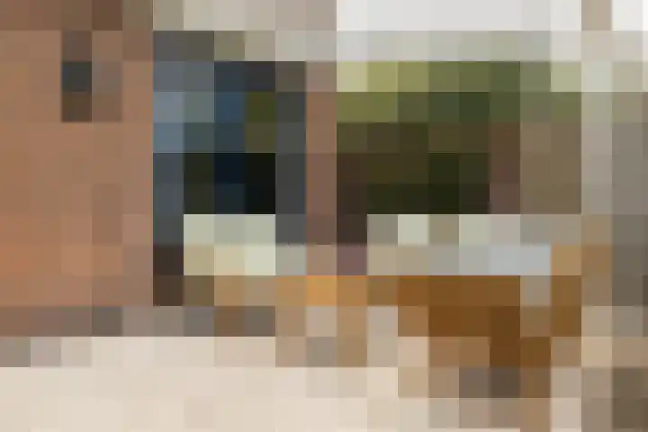 Schaepmanlaan 41 Nunspeet thumbnail 33