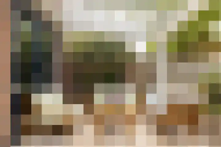 Schaepmanlaan 41 Nunspeet thumbnail 34