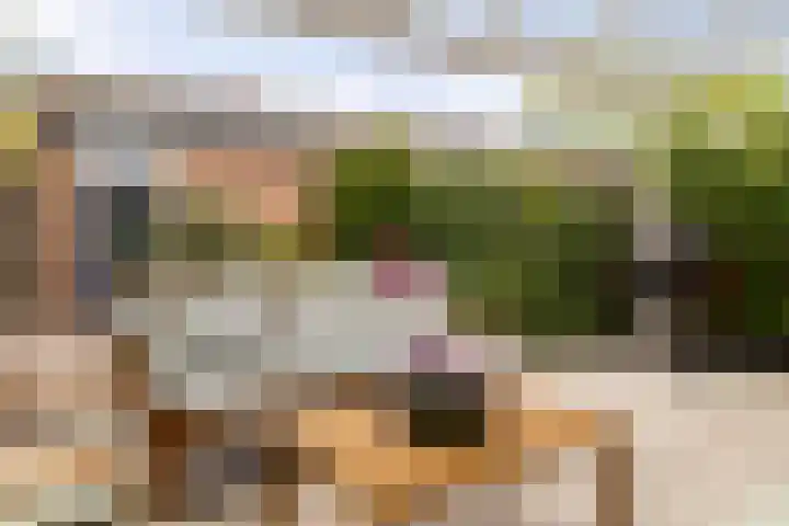Schaepmanlaan 41 Nunspeet thumbnail 35
