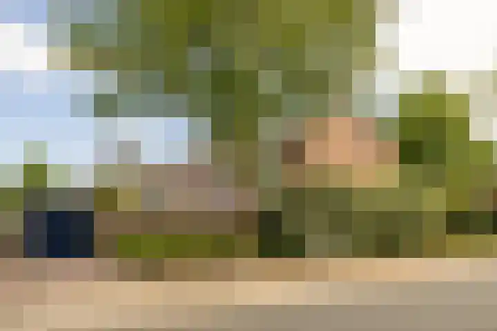 Schaepmanlaan 41 Nunspeet thumbnail 36