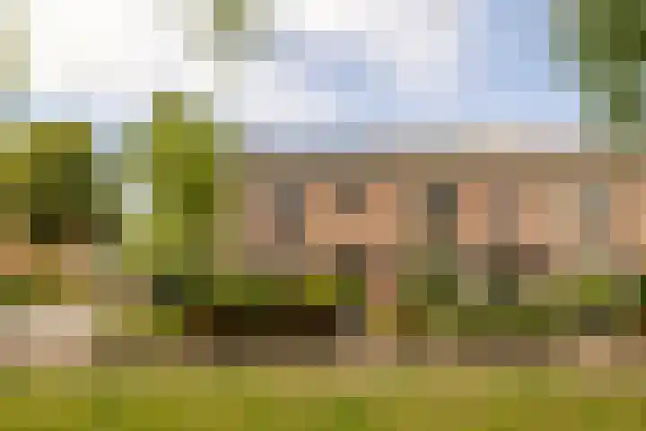 Schaepmanlaan 41 Nunspeet thumbnail 5