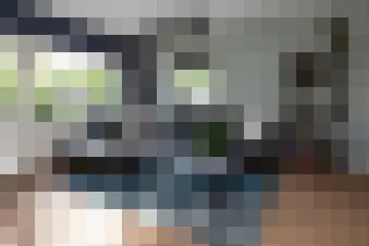 Schaepmanlaan 41 Nunspeet thumbnail 9