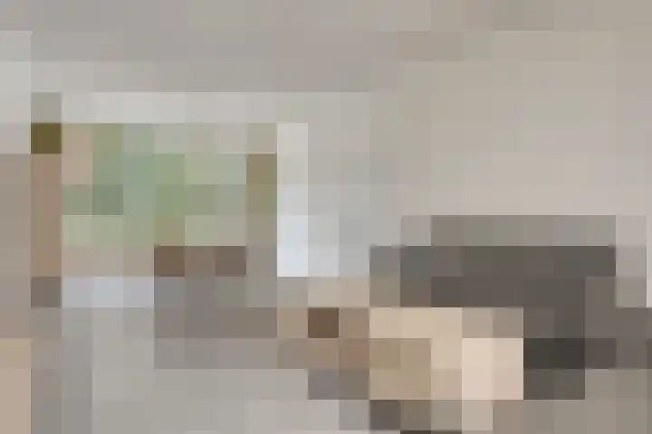 Schaepmanlaan 46 Bergen op Zoom thumbnail 10