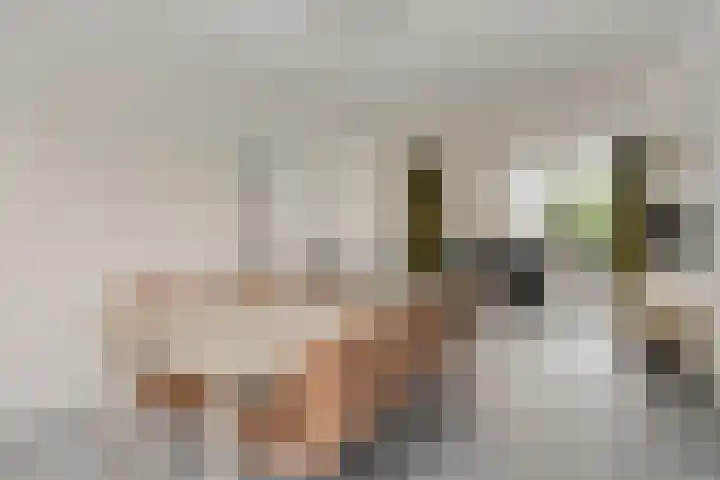 Schaepmanlaan 46 Bergen op Zoom thumbnail 11