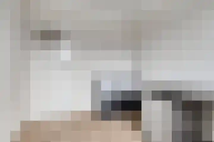 Schaepmanlaan 46 Bergen op Zoom thumbnail 23
