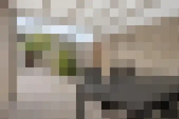 Schaepmanlaan 46 Bergen op Zoom thumbnail 37