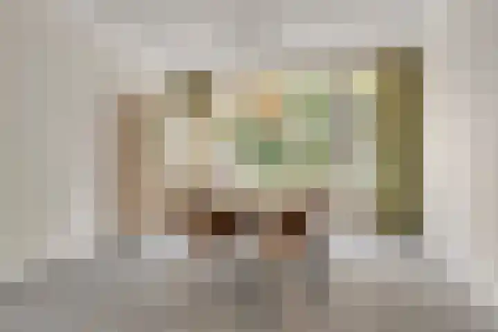 Schaepmanlaan 46 Bergen op Zoom thumbnail 4