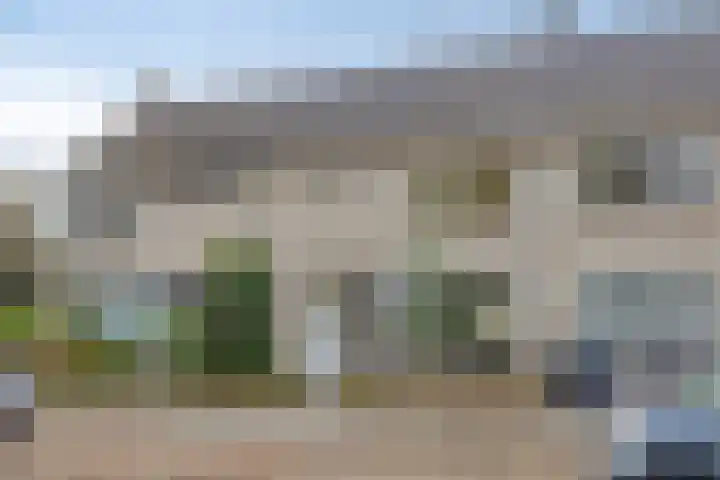 Schaepmanlaan 46 Bergen op Zoom thumbnail 43