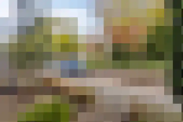 Schaepmanlaan 46 Bergen op Zoom thumbnail 44