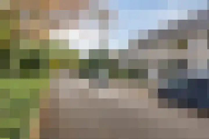 Schaepmanlaan 46 Bergen op Zoom thumbnail 45