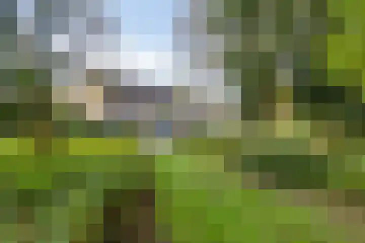 Schaepmanlaan 46 Bergen op Zoom thumbnail 46
