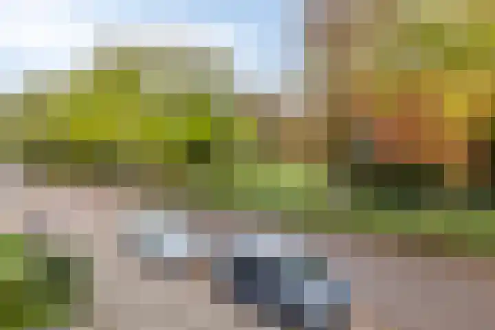 Schaepmanlaan 46 Bergen op Zoom thumbnail 47