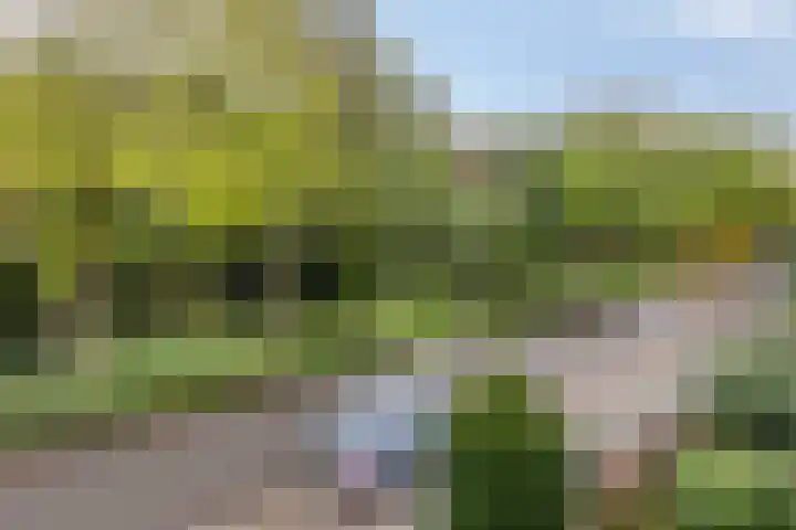 Schaepmanlaan 46 Bergen op Zoom thumbnail 48