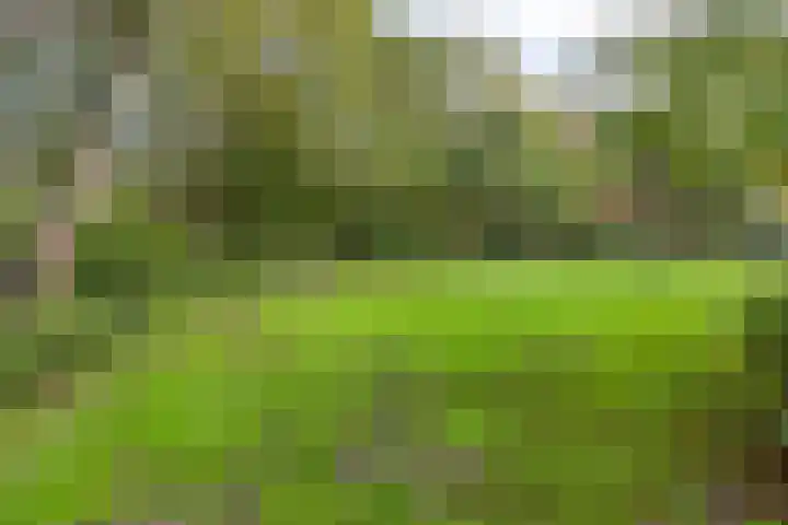 Schaepmanlaan 46 Bergen op Zoom thumbnail 49