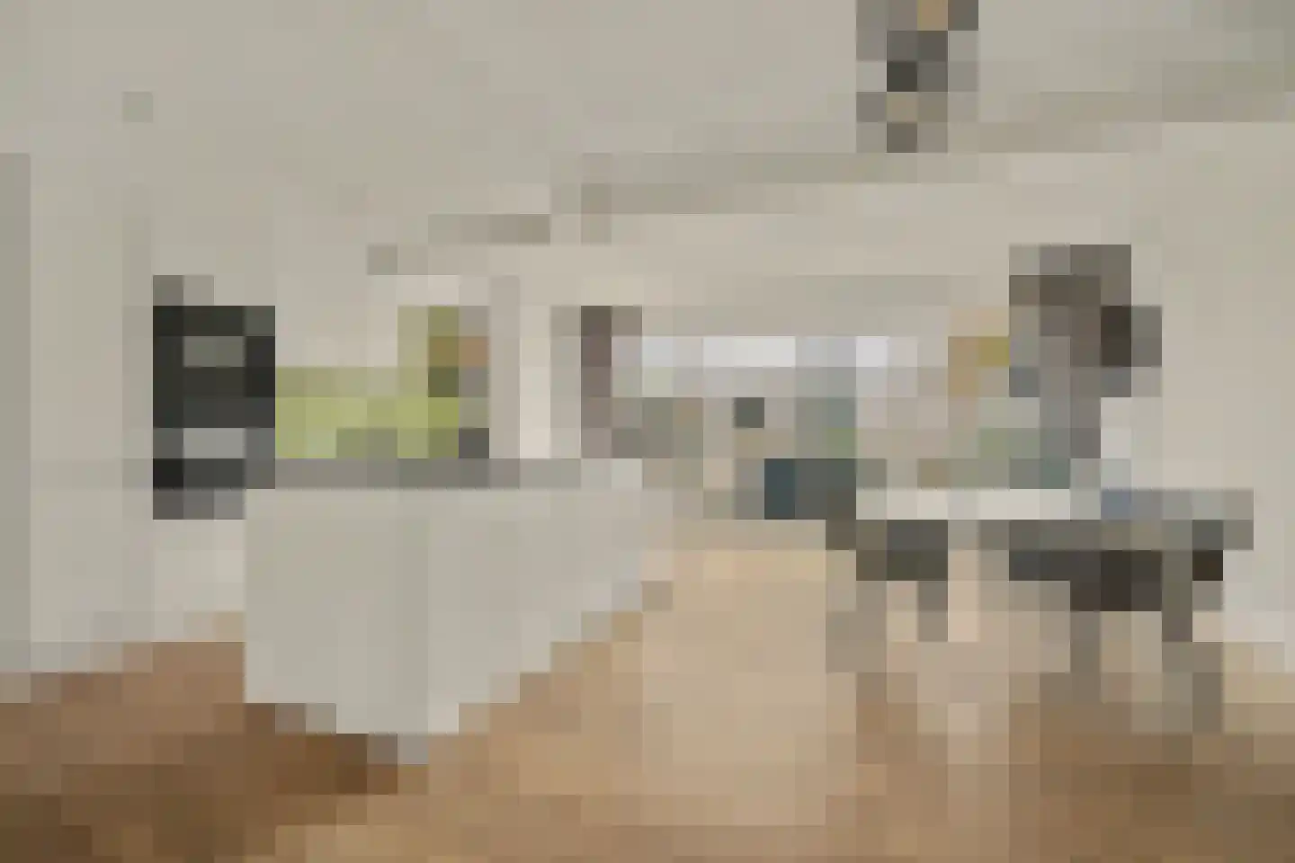 Schaepmanlaan 47 Ossendrecht thumbnail 10