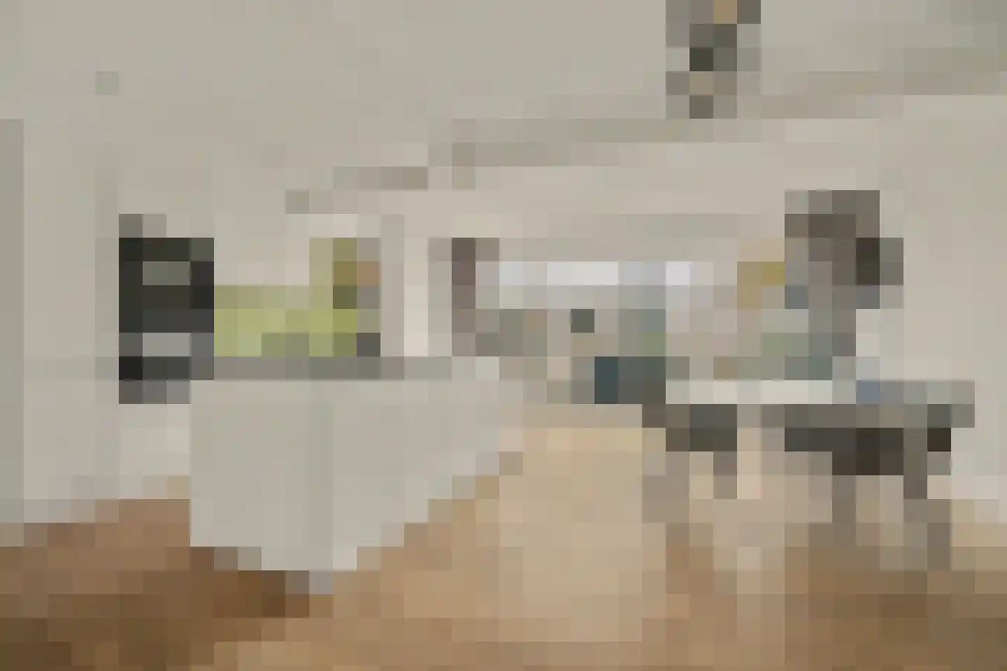 Schaepmanlaan 47 Ossendrecht thumbnail 10