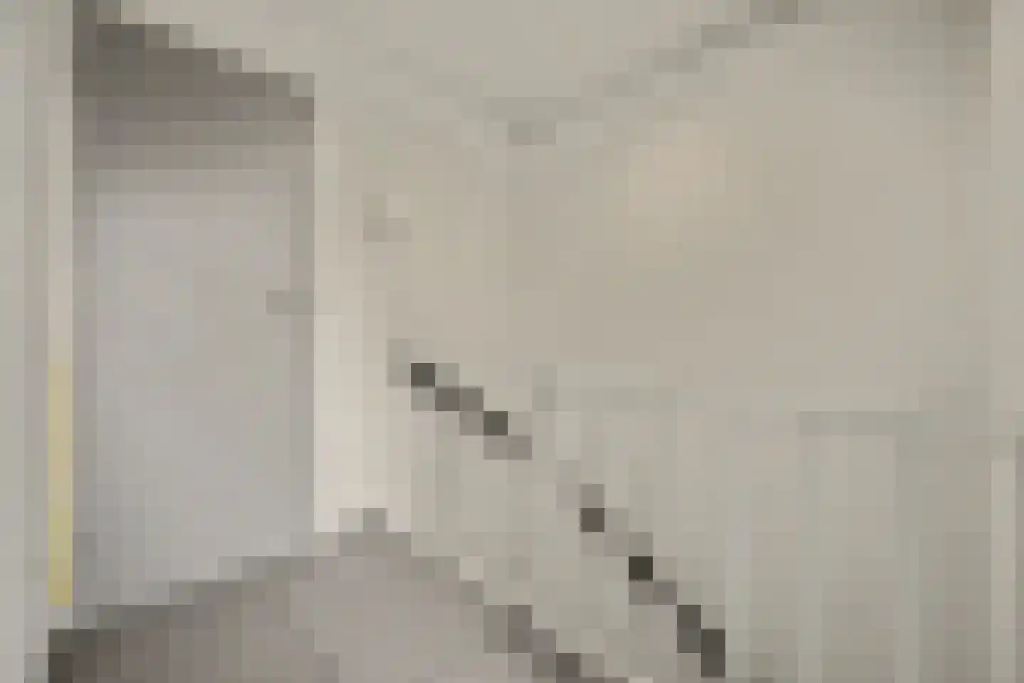 Schaepmanlaan 47 Ossendrecht thumbnail 17