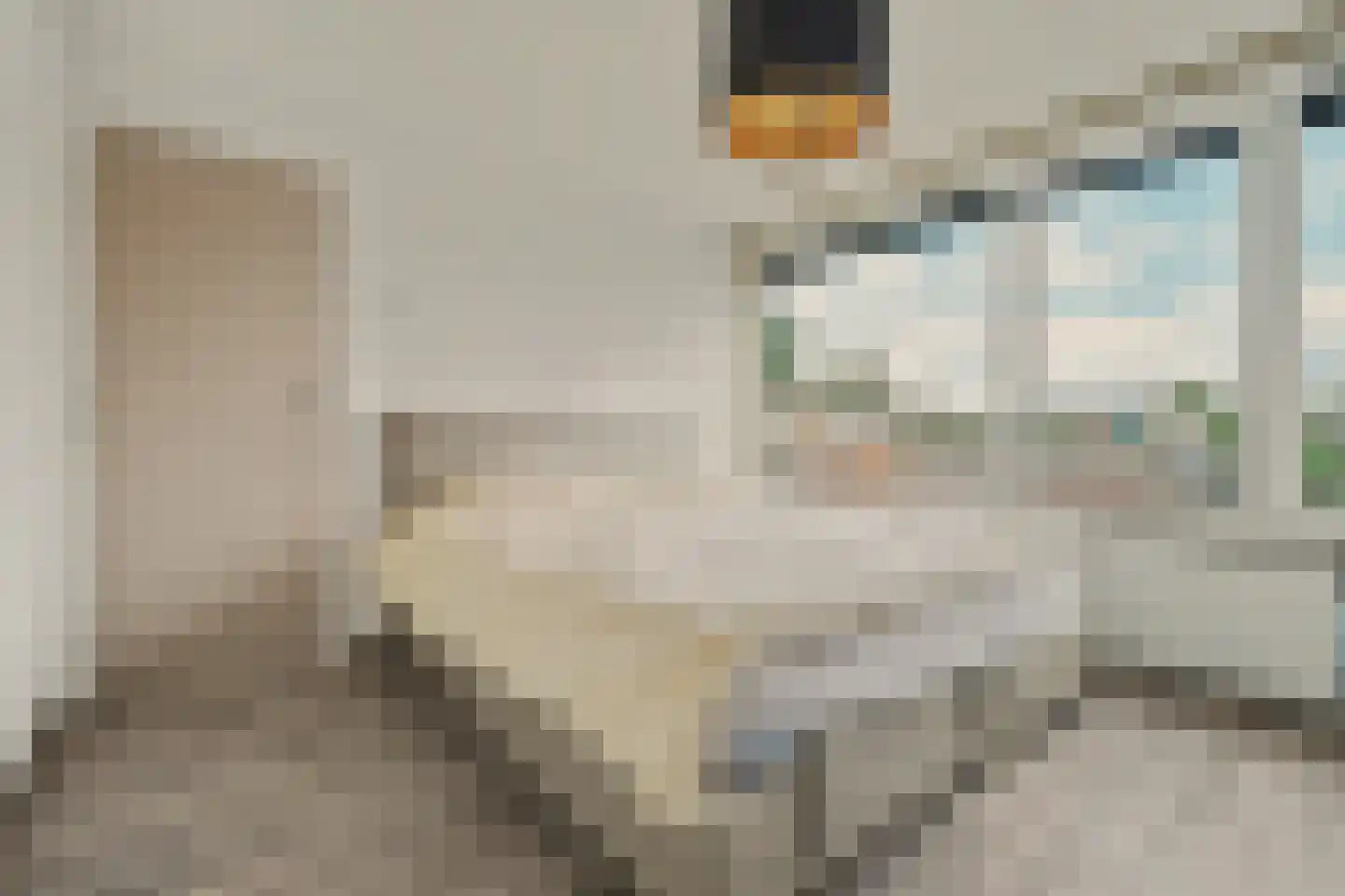 Schaepmanlaan 47 Ossendrecht thumbnail 18