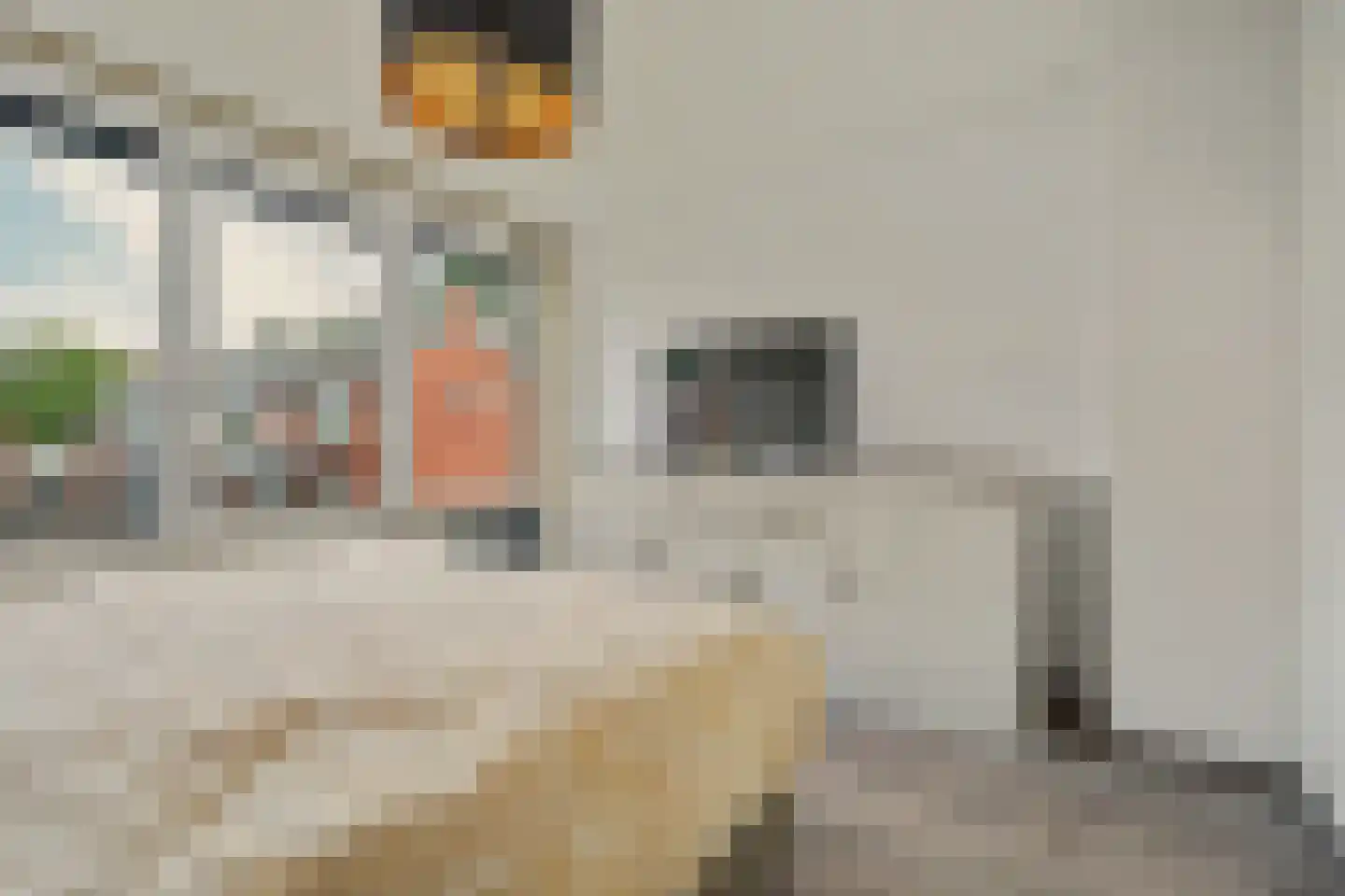 Schaepmanlaan 47 Ossendrecht thumbnail 20