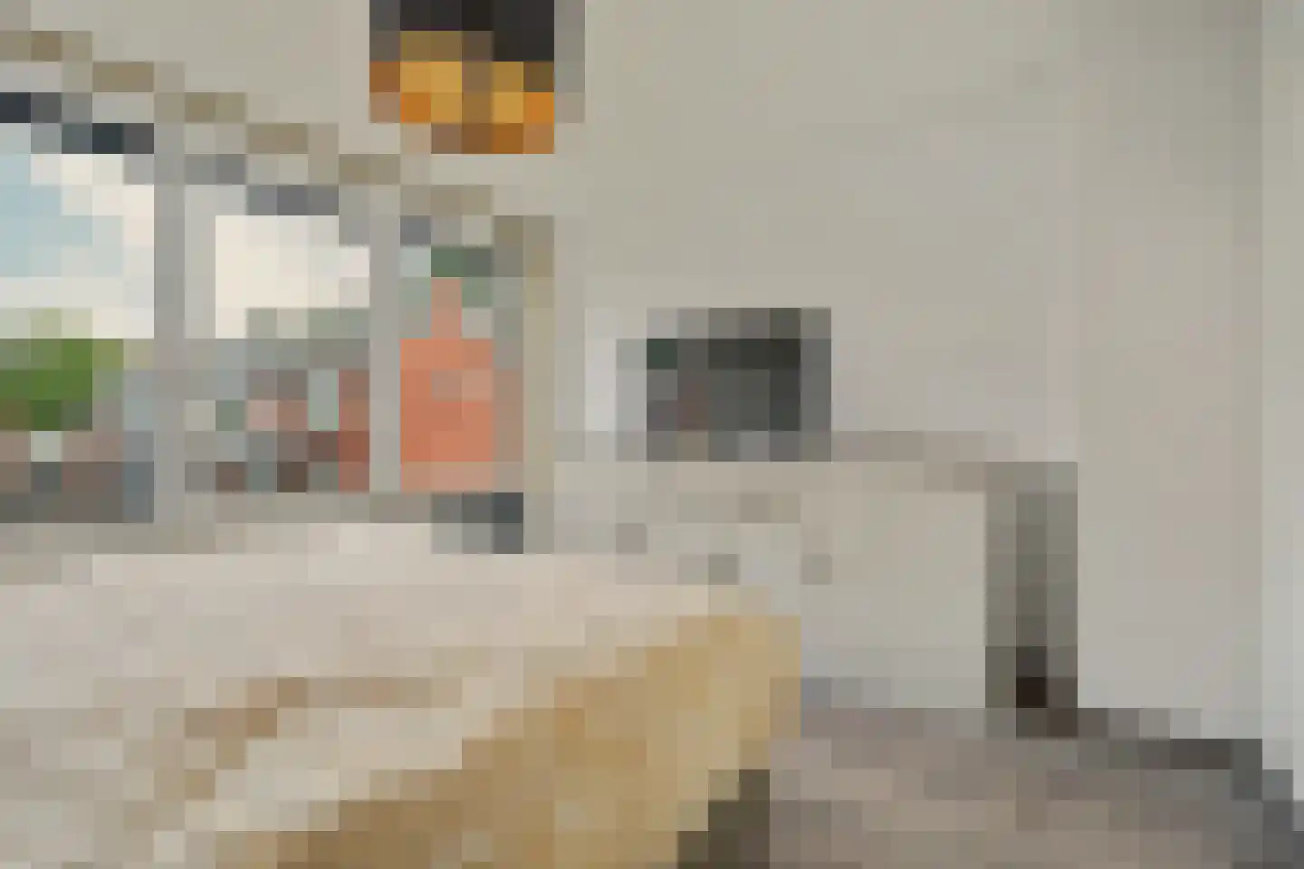 Schaepmanlaan 47 Ossendrecht thumbnail 20