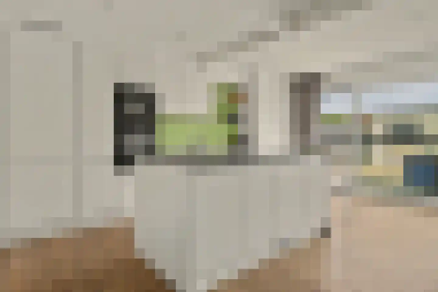Schaepmanlaan 47 Ossendrecht thumbnail 4