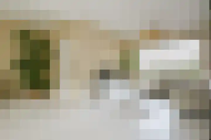 Schaepmanlaan 49 Baarn thumbnail 4